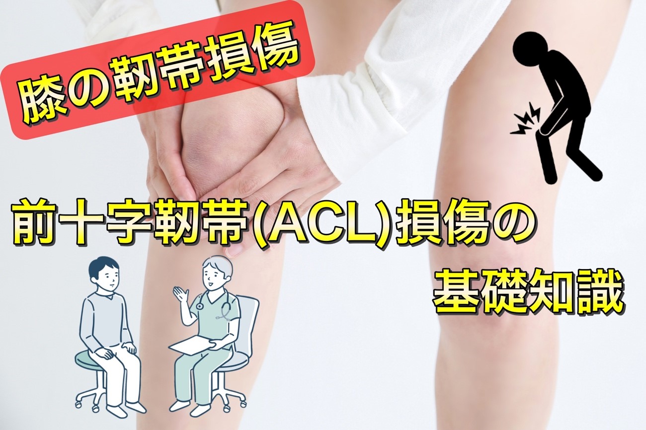 前十字靭帯（ACL）損傷｜症状別コラム｜広報・動画コンテンツ｜医療法人社団 弘人会中田病院